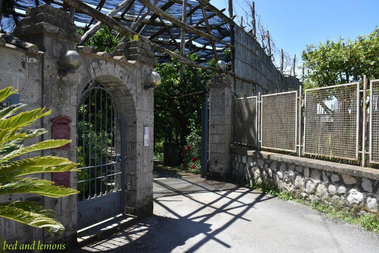 Bed and Breakfast Bed And Lemons Piano di Sorrento Esterno foto